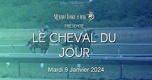 Le Cheval du Jour - Pronostic PMU - Mardi 09/01/2024