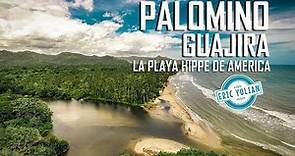 PALOMINO - GUAJIRA // Conoce la playa hippie de Colombia, su gastronomía y su mágica naturaleza