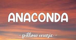 Anaconda - Nicki Minaj (Lyrics) 🎵