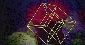 Thomas Banchoff: La quarta dimensione, Lo spazio quadridimensionale, L'iperspazio matematico