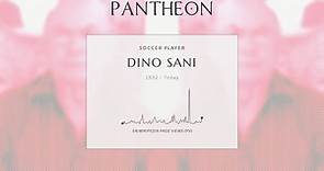 Dino Sani Biography - Brazilian footballer and coach (born 1932)