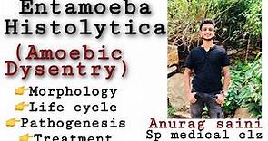 Entamoeba Histolytica ( Amoebic dysentery) Life cycle,Morphology,Treatment #entamoeba