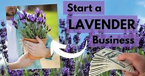 Make money from a Lavender Business