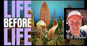 Life Before Life - The Ediacaran Explosion ~ with WILLIAM MCMAHON