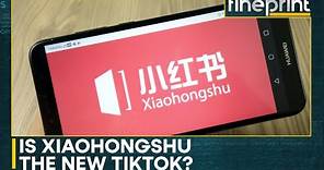 Xiaohongshu's rising popularity in US | WION Fineprint