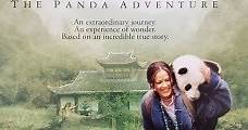 China: La aventura panda (2001) Online - Película Completa en Español - FULLTV