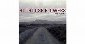 Hothouse Flowers - Movies