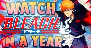How to Watch Bleach and Skip Fillers in LESS THAN A YEAR!