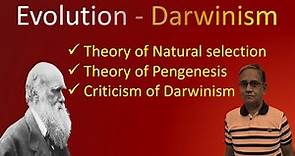 DARWINISM