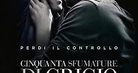 Cinquanta sfumature di grigio - Film (2015)