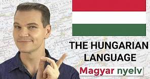 MAGYAR NYELV! The Hungarian Language is MINDBLOWING