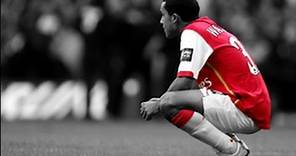 Theo Walcott - Goals & Skills - Arsenal F.C - 2013/14