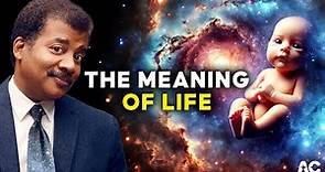 Neil deGrasse Tyson | THE MEANING OF LIFE