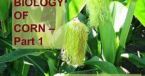 Biology of Corn - Part 1
