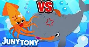 Cachalote vs Calamar Gigante | ¡Que Gane el Mejor! | Animales Marinos | Juny Tony en español