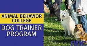 Become an ABC Certified Dog Trainer | Animal Behavior College