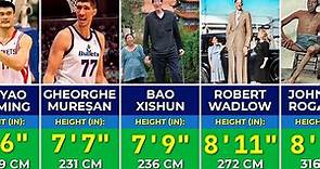 🧑 Tallest Man in the World | Comparison of the Tallest People in History