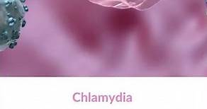 What is Chlamydia bacteria?