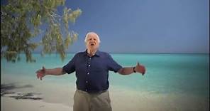 David Attenborough's Great Barrier Reef | DVD Trailer