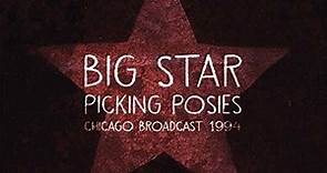 Big Star - Picking Posies