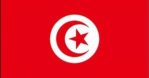 Tunisia Team News  - Soccer