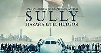 Sully: Hazaña en el Hudson (Subtitulada)