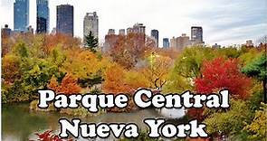 Explore la mágica belleza de Central Park en otoño