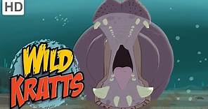 Wild Kratts - Massive Mammals | Kids Videos