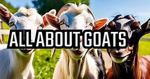 Goats Galore: Your Ultimate Guide to Goat Care, Breeds, and Fun Facts!