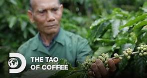 Trung Nguyen Legend: The Tao of Coffee | G7 Coffee | Discovery Channel Southeast Asia