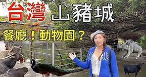 「台灣山豬城」是餐廳！動物園？林口美食景點推薦！