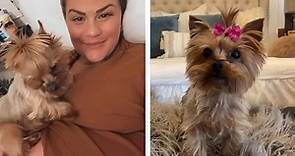 Brittany Cartwright shares tribute after the death of her dog