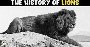 The History of Lions