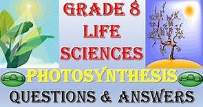 Photosynthesis Quiz: Test Your Knowledge with Multiple Choice Questions