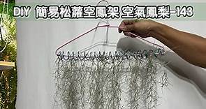 DIY wire 教你如何使用彩色鋁線製作空氣鳳梨 簡易松蘿架 How to make Aluminum wire Air plant flowerstand Simple usnea stand