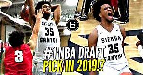 Marvin Bagley III Is The #1 PLAYER In The 2018 Class!! OFFICIAL Mixtape! #1 Pick In 2019 Draft?
