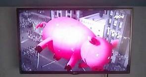Wings Productions / When Pigs Fly Incorporated / CBS Television Studios (2014)
