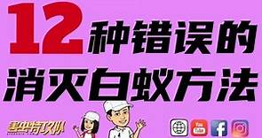 如何消滅白蟻最好？ | 你還在用錯誤的方法來滅白蟻嗎？