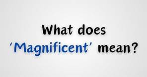 What does 'Magnificent' mean?