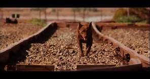RED DOG (2011) - Official Trailer / HD Version