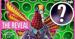 The Reveal: Hummingbird / Chris Kirkpatrick | Season 8 Ep. 2 | The Masked Singer