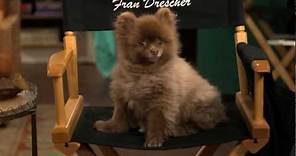 What is Fran Drescher's Dog Esther Thinking? Pt 1