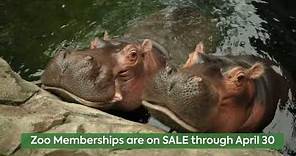 Memberships on Sale until the end of April - Cincinnati Zoo