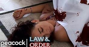 An Award Winning Killer - Law & Order