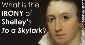 Percy Bysshe Shelley TO A SKYLARK poem | ANALYSIS, SUMMARY, LINE BY LINE | Romanticism Literature