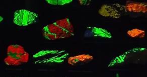 Minerals That Glow in the Dark at The Smithsonian National Museum of Natural History #shorts