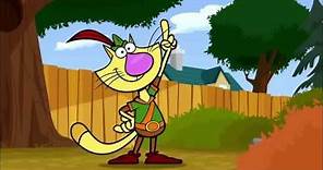 Nature Cat Intro