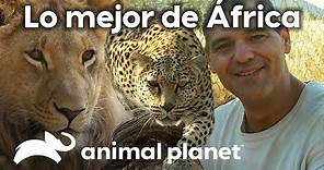 Las aventuras de Frank en África | Wild Frank en África | Animal Planet