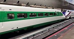 Shinkansen E2 Series « Revival Green livery », Tōkyō Station