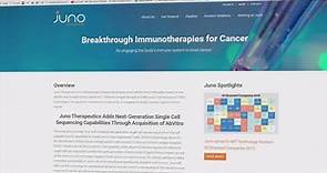 Juno Therapeutics stock slides after patients die during drug trial